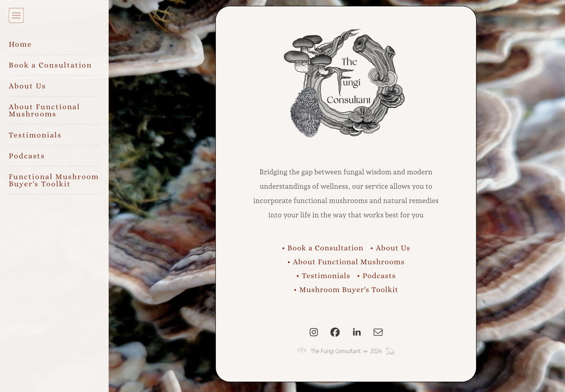 thefungiconsultant.com