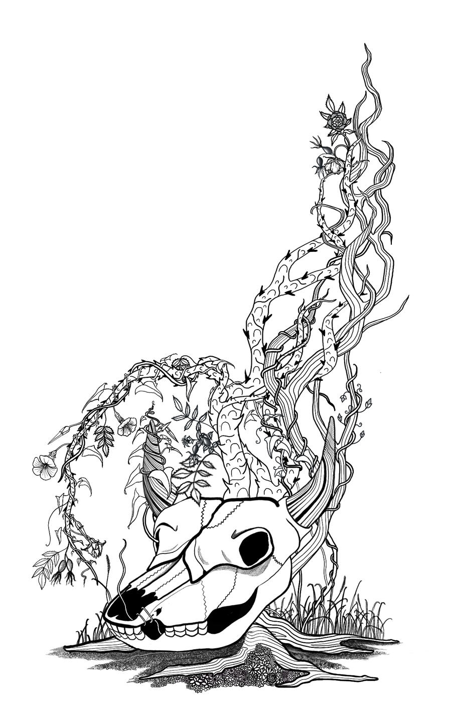 the weeds make flowers in the bison skull, 2024