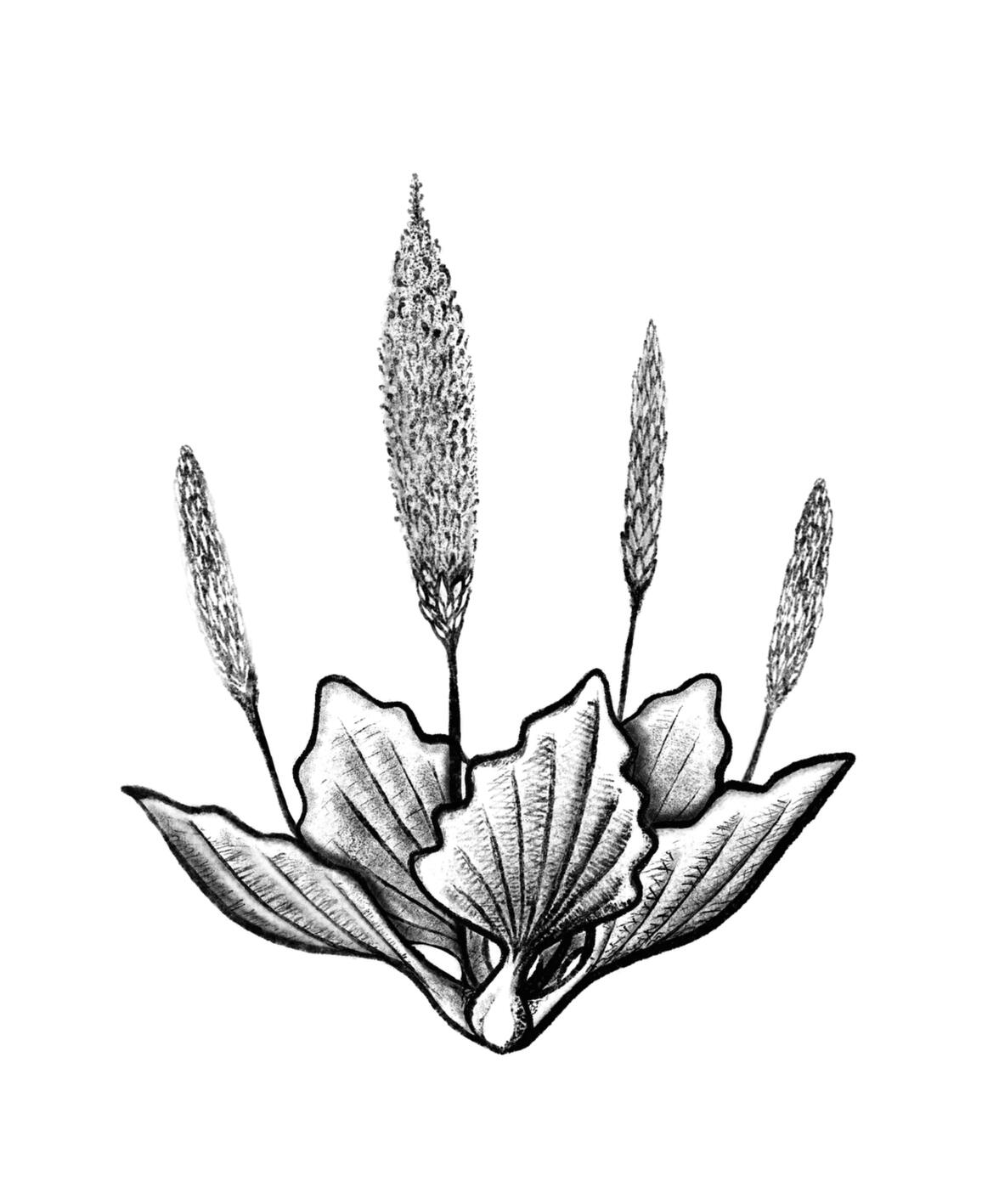 open to the east, 2024