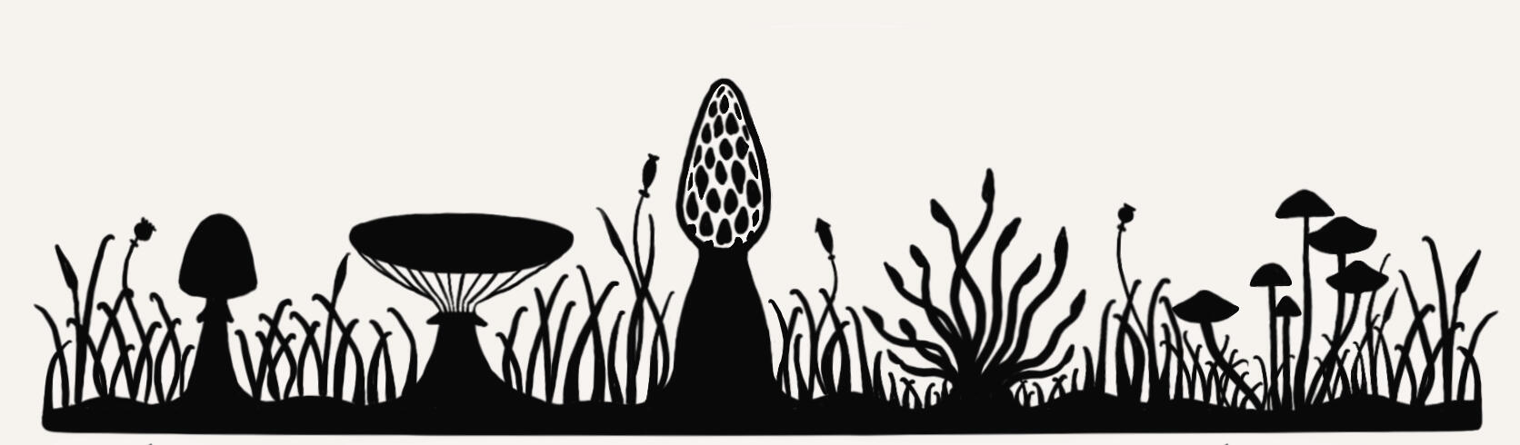 sillhouetted shrooms